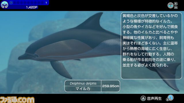 『フォーエバーブルー ルミナス』レビュー。海の生物たちの雄大さに感動&興奮、ダイバー仲間との一期一会の“ゆるい連帯感”に温かい気持ちになれるヒーリング・ゲーム