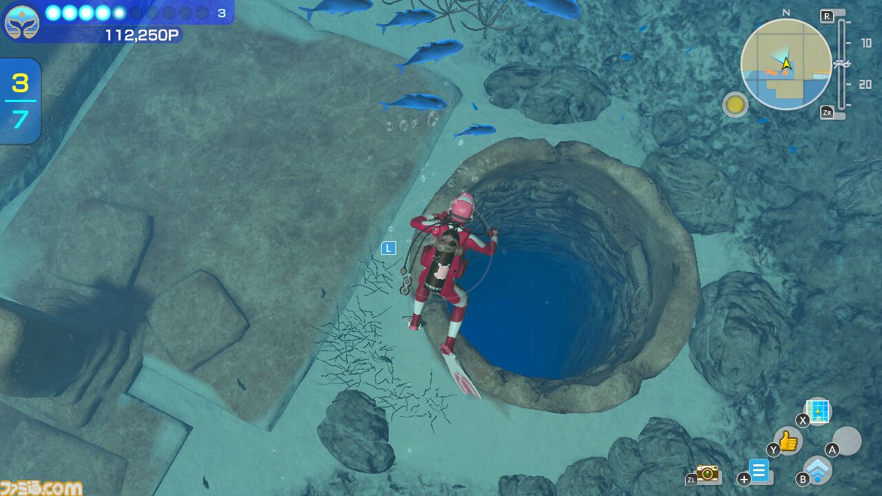 『フォーエバーブルー ルミナス』レビュー。海の生物たちの雄大さに感動&興奮、ダイバー仲間との一期一会の“ゆるい連帯感”に温かい気持ちになれるヒーリング・ゲーム