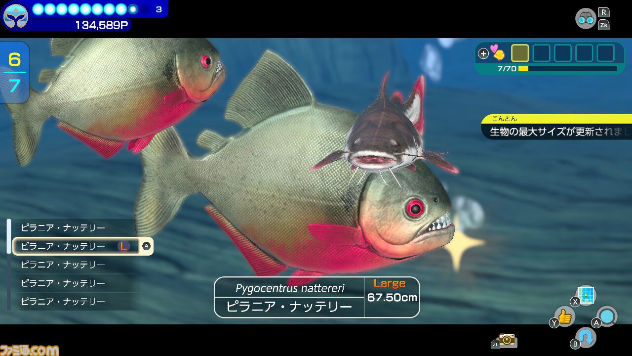 『フォーエバーブルー ルミナス』レビュー。海の生物たちの雄大さに感動&興奮、ダイバー仲間との一期一会の“ゆるい連帯感”に温かい気持ちになれるヒーリング・ゲーム