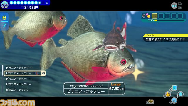 『フォーエバーブルー ルミナス』レビュー。海の生物たちの雄大さに感動&興奮、ダイバー仲間との一期一会の“ゆるい連帯感”に温かい気持ちになれるヒーリング・ゲーム