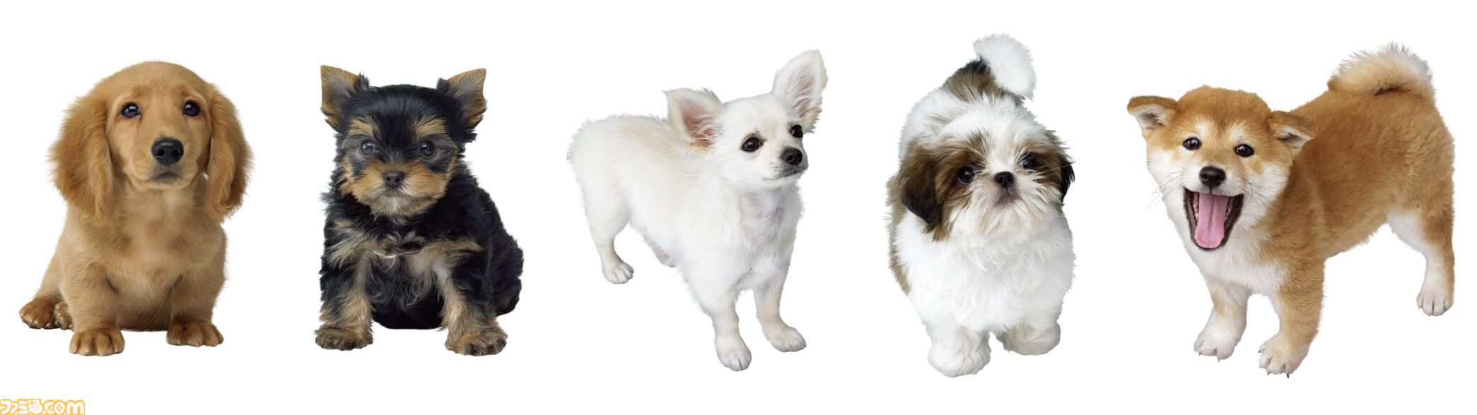 『nintendogs』（ニンテンドッグス）20周年。本物そっくりの仕草があまりにもかわいい、人気犬種の子犬たちと触れ合いながら暮らせるコミュニケーションゲーム【今日は何の日？】
