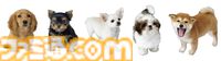『nintendogs』（ニンテンドッグス）20周年。本物そっくりの仕草があまりにもかわいい、人気犬種の子犬たちと触れ合いながら暮らせるコミュニケーションゲーム【今日は何の日？】