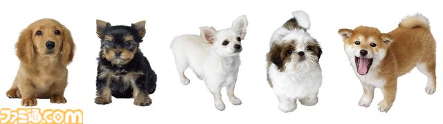 『nintendogs』（ニンテンドッグス）20周年。本物そっくりの仕草があまりにもかわいい、人気犬種の子犬たちと触れ合いながら暮らせるコミュニケーションゲーム【今日は何の日？】
