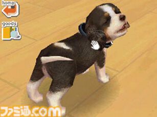 犬 画像ページ (2/9) 『nintendogs』（ニンテンドッグス）20周年。本物