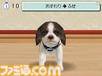 『nintendogs』（ニンテンドッグス）20周年。本物そっくりの仕草があまりにもかわいい、人気犬種の子犬たちと触れ合いながら暮らせるコミュニケーションゲーム【今日は何の日？】