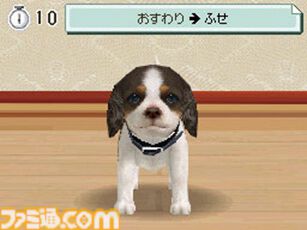『nintendogs』（ニンテンドッグス）20周年。本物そっくりの仕草があまりにもかわいい、人気犬種の子犬たちと触れ合いながら暮らせるコミュニケーションゲーム【今日は何の日？】