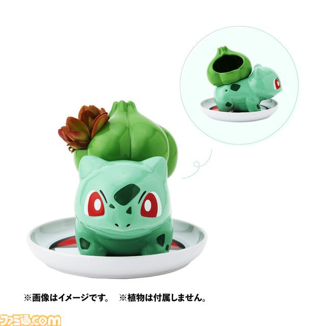 『ポケモン』イシツブテのハンガー、フシギダネのミニ植木など各個性を活かしたかわいいホーム雑貨が登場。公式ECサイトにて4/24販売開始