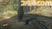 『モンハンワイルズ』闘技場のリオレイアと向き合った1週間。討伐タイムのランクSを取るべく連装竜杭フルバースト！ 毒は喰らっちゃダメ！【プレイ日記】