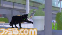 『Little Kitty, Big City』