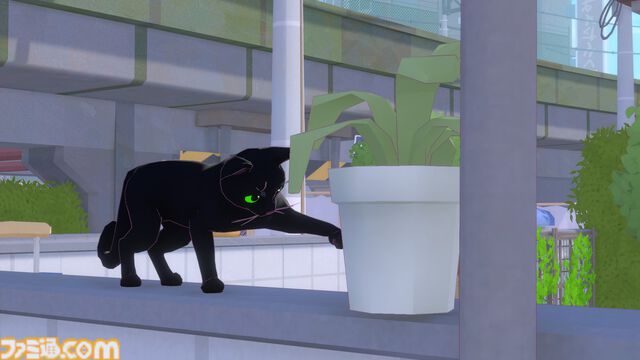『Little Kitty, Big City』