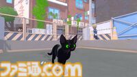 『Little Kitty, Big City』