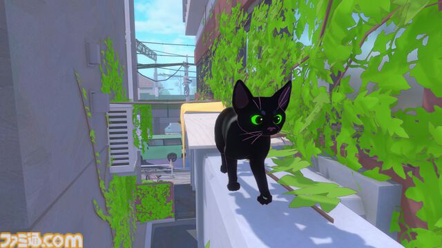 『Little Kitty, Big City』