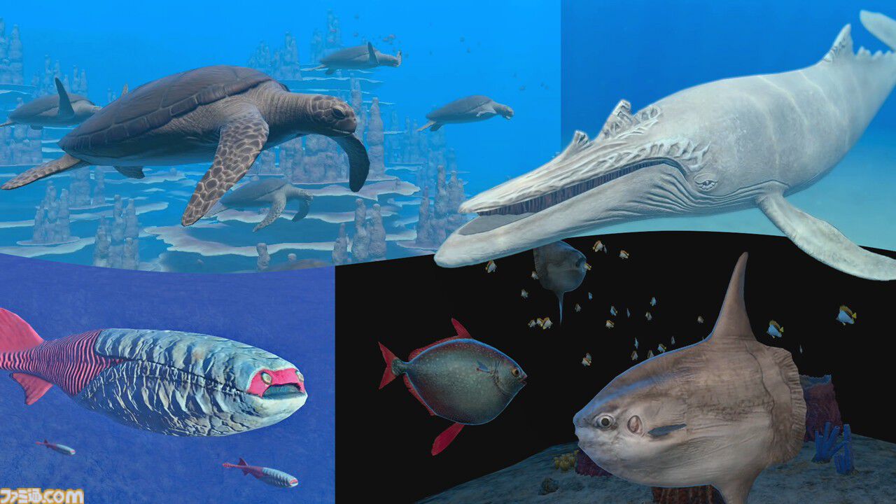 Switch フォーエバーブルー ルミナス Switch フォーエバーブルー ルミナス ：海中の生き物たちと