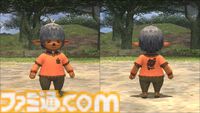 『FF11』が2025年5月16日でサービス開始23周年に！ 記念番組“もぎたてヴァナ・ディール”が本日生放送＆さまざまな施策もスタート