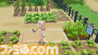 『スターサンドアイランド』クラファン企画が実施中。おだやかなスローライフ系島暮らしシミュ。作中NPCになれたり島の名前を付けられるリワードも