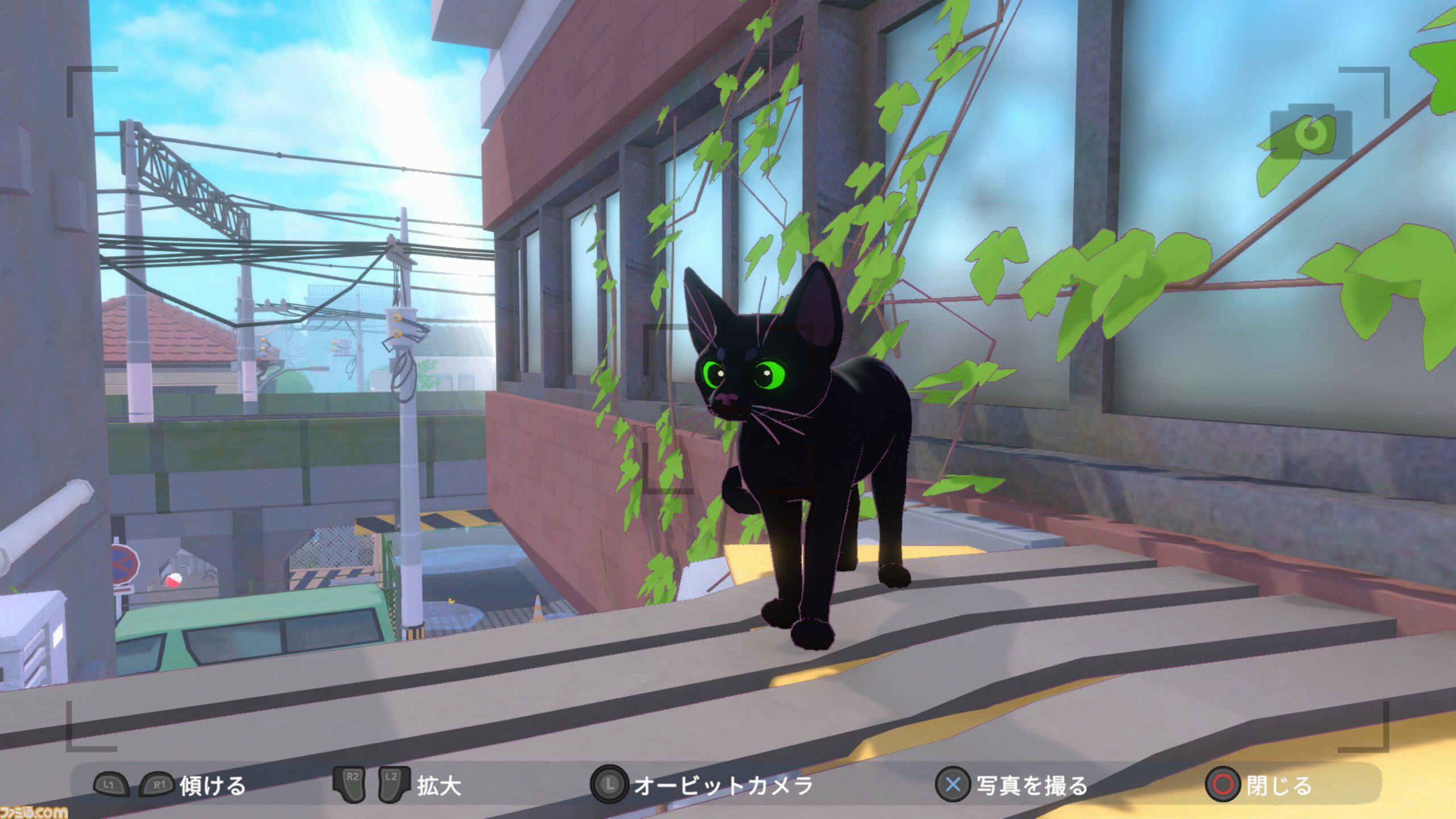 『Little Kitty, Big City』
