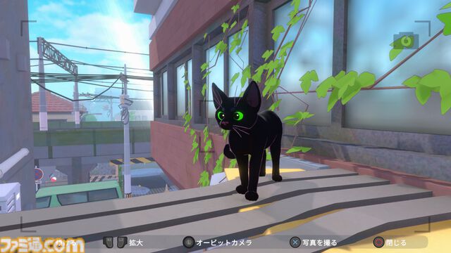 『Little Kitty, Big City』