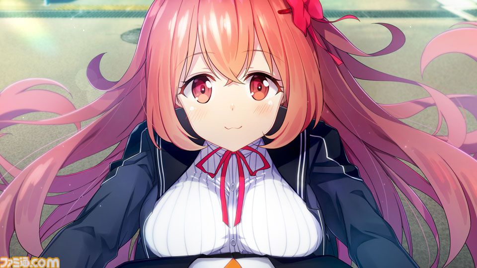 メモリーズオフ 双想 ～Not always true～ 【Switch】 HAC-P
