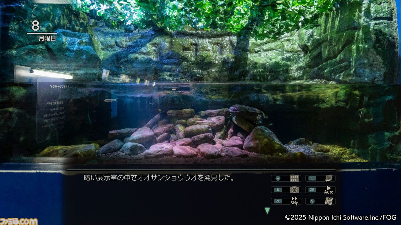 『風雨来記5』三重の絶景を360度実写で堪能。志摩スペイン村や赤目四十八滝、魚飛渓など観光名所をリアルに再現
