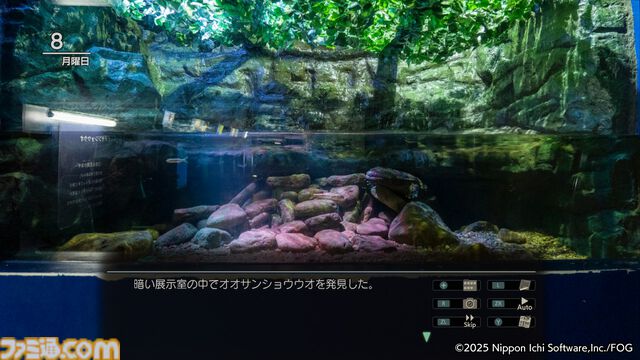 『風雨来記5』三重の絶景を360度実写で堪能。志摩スペイン村や赤目四十八滝、魚飛渓など観光名所をリアルに再現