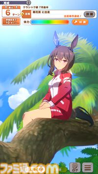 『ウマ娘』新シナリオ“無人島へようこそ -DESIGN YOUR ISLAND-”先行プレイリポート。複数の友情トレーニングを同時に踏める“島トレーニング”にはまだ見ぬ可能性が！