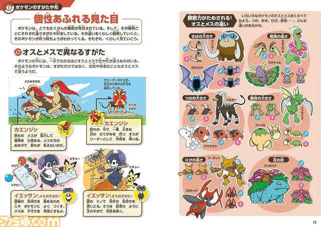 『ポケモン生態図鑑』ポケモンを現代の行動生態学に基づいてまとめた図鑑が本日（6月18日）発売。ラプラスが増えすぎるとさかなポケモンが減るなどポケモン界の弱肉強食もバッチリわかる