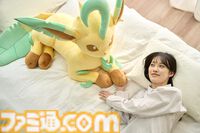 【ポケモン】ニンフィア・リーフィア・グレイシアの等身大ぬいぐるみが本日（6/20）から受注開始。寝そべってリラックスした姿がかわいい