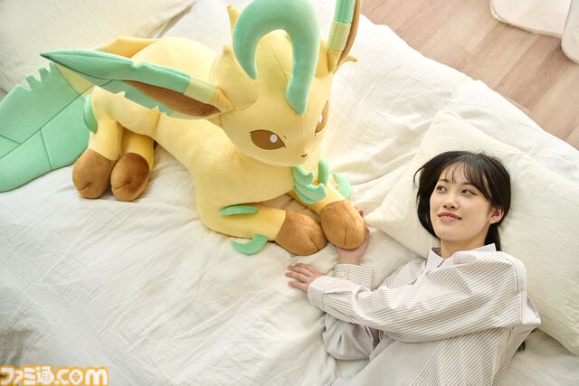 【ポケモン】ニンフィア・リーフィア・グレイシアの等身大ぬいぐるみが本日（6/20）から受注開始。寝そべってリラックスした姿がかわいい