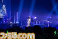 『ときメモ』30周年ライブに知識ゼロで参加し、即入学を志望した話。『超(今世紀最大級)LOVE』を聴いて朝日奈さんに出会いたくなった