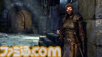 【ESO】 『エルダー・スクロールズ・オンライン』には誰にでも楽しめる何かがある。真に自分だけのものにできる世界がここに【インタビュー】