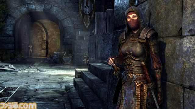 【ESO】 『エルダー・スクロールズ・オンライン』には誰にでも楽しめる何かがある。真に自分だけのものにできる世界がここに【インタビュー】