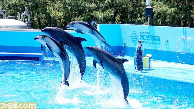 『アクアリウムは踊らない』長岡市寺泊水族博物館とコラボ決定。館内BGMがゲームBGMとなり、スーズ（声：黒沢ともよ）による館内放送も