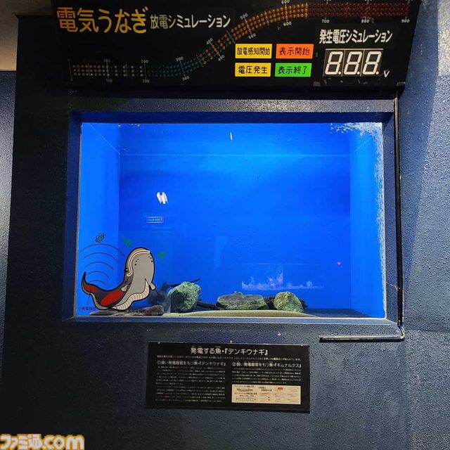 『アクアリウムは踊らない』長岡市寺泊水族博物館とコラボ決定。館内BGMがゲームBGMとなり、スーズ（声：黒沢ともよ）による館内放送も