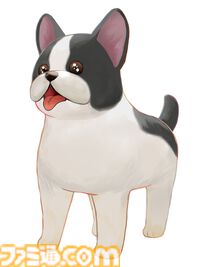 『DORONKO WANKO』かわいいわんこが家中を泥まみれにするアクションのSwitch版が本日（7/24）配信開始。柴犬やコーギーなど5犬種が追加
