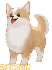 『DORONKO WANKO』かわいいわんこが家中を泥まみれにするアクションのSwitch版が本日（7/24）配信開始。柴犬やコーギーなど5犬種が追加