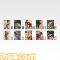 一番くじ爬虫類＆両生類が本日（7/25）発売。前回から続投のアオジタトカゲ、オムツ姿のヘルマンリクガメのフィギュアなど揃う