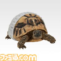 一番くじ爬虫類＆両生類が本日（7/25）発売。前回から続投のアオジタトカゲ、オムツ姿のヘルマンリクガメのフィギュアなど揃う