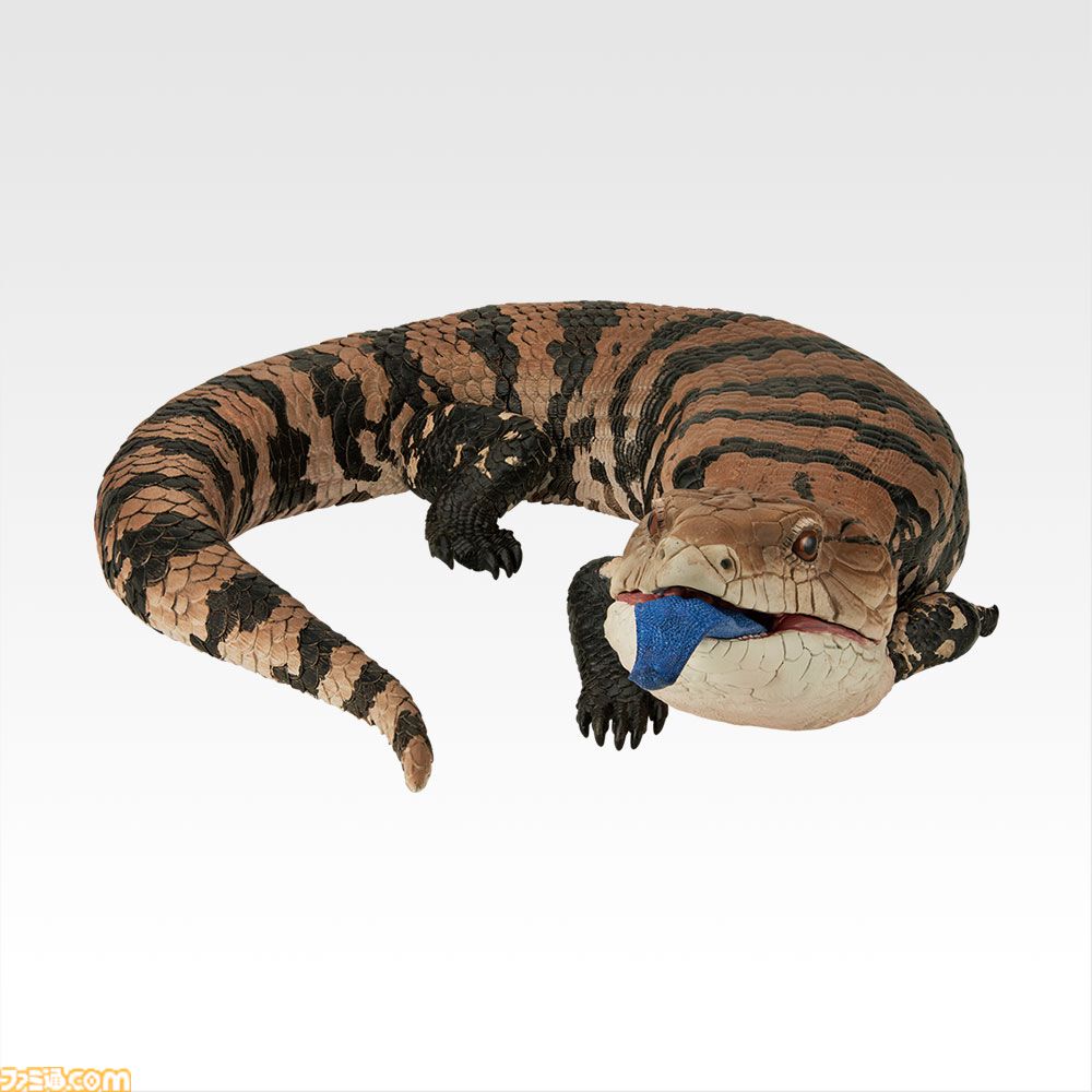一番くじ 爬虫類&両生類 アオジタトカゲ フィギュア べぇ ヘルマンリクガメ 画像ページ (10/10) 一番くじ爬虫類&両生類が本日(7/25)発売