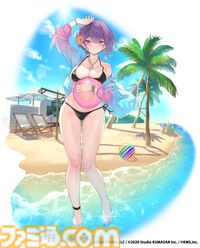 DMM GAMESを利用したことがない俺が勝手に作ったこの夏の水着美女ランキング！ 「この太ももで日本列島を挟んだら経済も上向きそう」