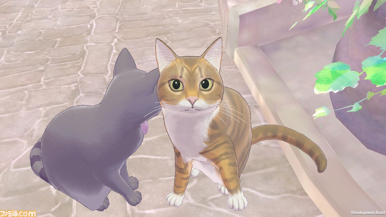 新作『マジカルクラフト 猫と魔法のドレス』はいろいろな“カワイイ”を詰め込んだドレス作り＆着せ替えゲーム。猫は17匹登場。内容深堀りインタビュー
