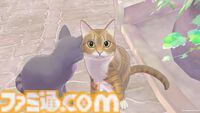 新作『マジカルクラフト 猫と魔法のドレス』はいろいろな“カワイイ”を詰め込んだドレス作り＆着せ替えゲーム。猫は17匹登場。内容深堀りインタビュー