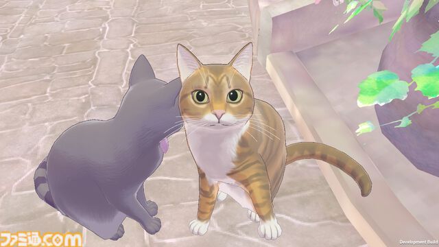新作『マジカルクラフト 猫と魔法のドレス』はいろいろな“カワイイ”を詰め込んだドレス作り＆着せ替えゲーム。猫は17匹登場。内容深堀りインタビュー