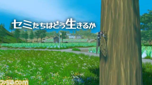 『セミたちはどう生きるか』セミの短い一生を体験できるオープンワールドゲームが発表。減り続ける“生命力”というステータスで命の儚さを体現