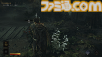 『鬼武者 Way of the Sword』試遊版レビュー。佐々木巌流戦はジャスト防御が重要で緊張感が半端ない。重厚さと“力動”を巡る攻防が加わり爽快な剣戟アクションが大きく進化【gamescom 2025】