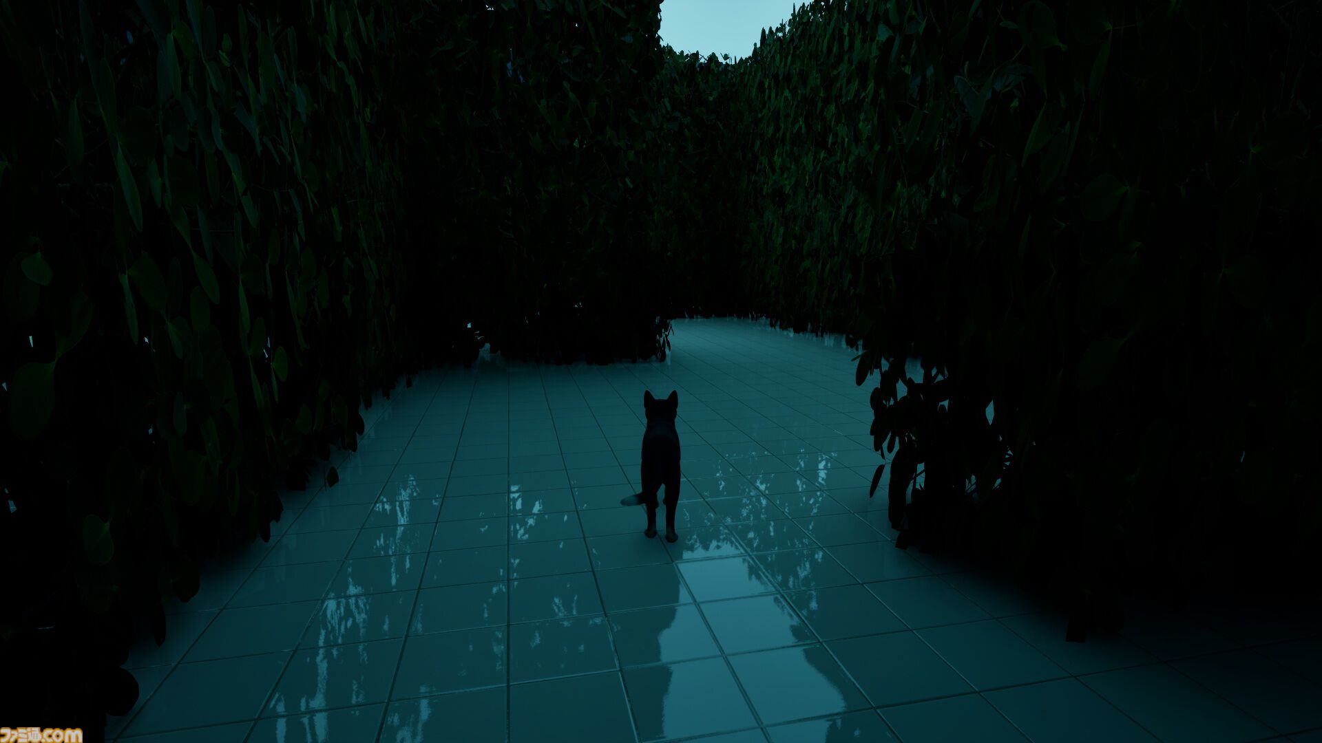 『LIMINAL CAT』猫がリミナルスペースを探索するゲームがSteamでストアページを公開。『バックルーム』『プールルーム』に影響を受けたアドベンチャータイトル
