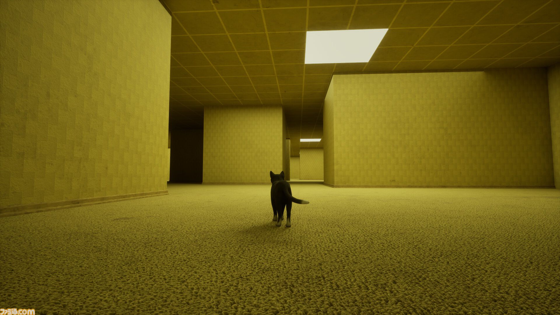 『LIMINAL CAT』猫がリミナルスペースを探索するゲームがSteamでストアページを公開。『バックルーム』『プールルーム』に影響を受けたアドベンチャータイトル