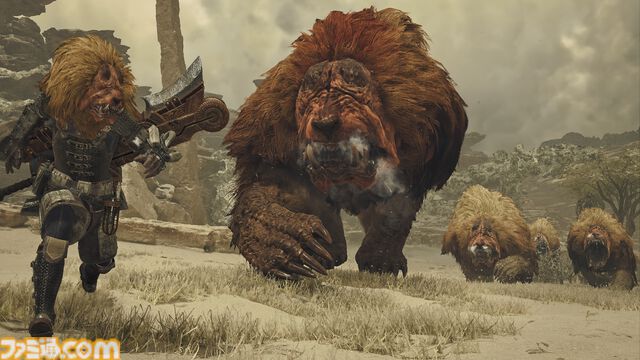 『モンハンワイルズ』ドシャグマになりきれる頭装備が9月3日より登場。武器や防具の装飾品が大量入手できるイベクエが本日（8/20）より開催