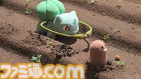 『ポケモンコンシェルジュ』じゃれつくウインディ、コダックの頭の毛が気になるコリンクなど新エピソードの写真公開。9月9日からは『ポケモンGO』に浮き輪をつけたコダックが登場