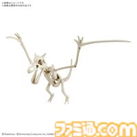『ポケモン』プテラ＆ガチゴラスを“骨格”から組み立てられるプラモデルが発売決定。ポケプラカセキポケモンシリーズが新登場。2026年2月発売