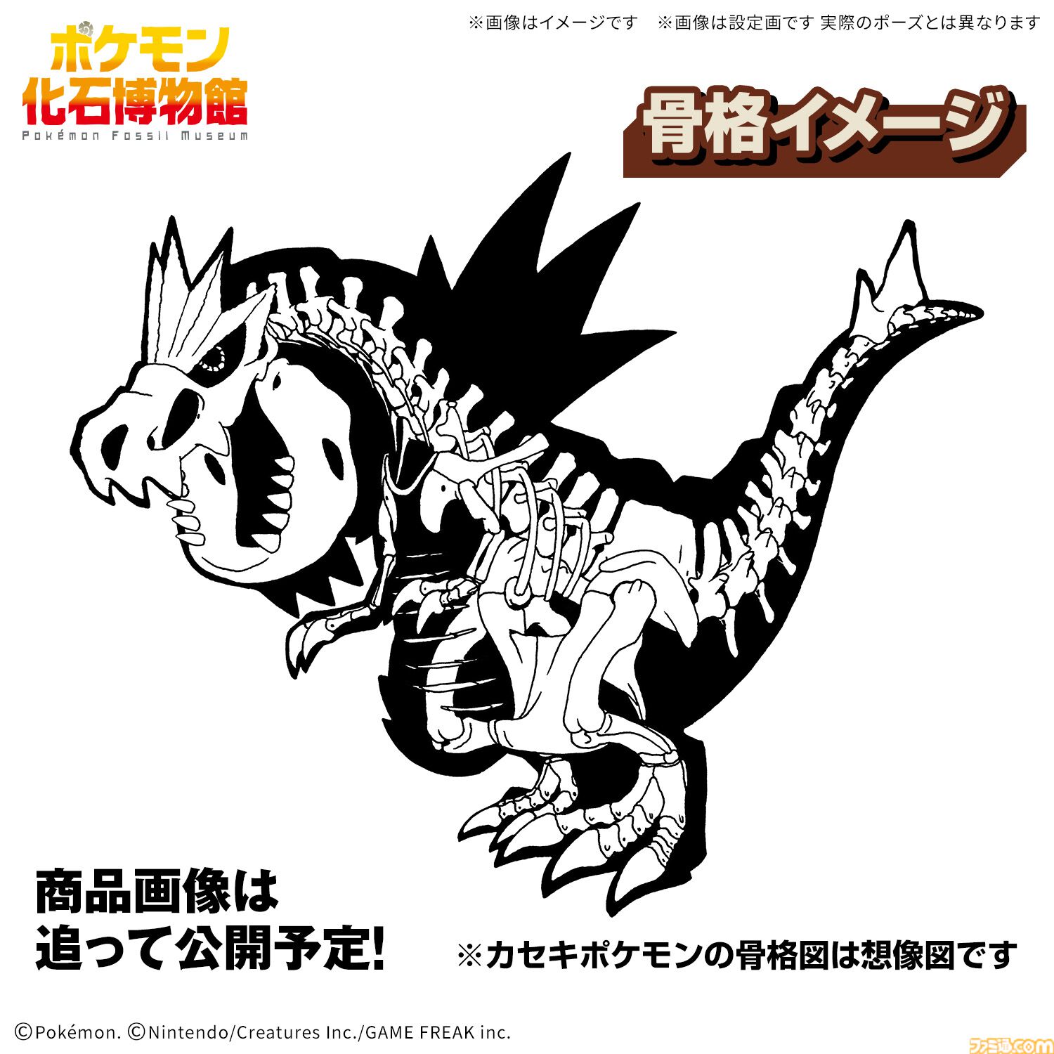 ポケットモンスター　ポケモン　プテラ　プラモンシリーズ かせきポケモンを「骨格から組み立てる」プラモデルシリーズが